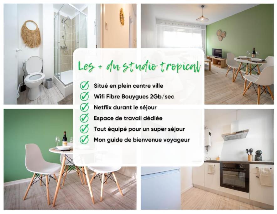 Le Studio Tropical Chalon-sur-Saône Eksteriør bilde